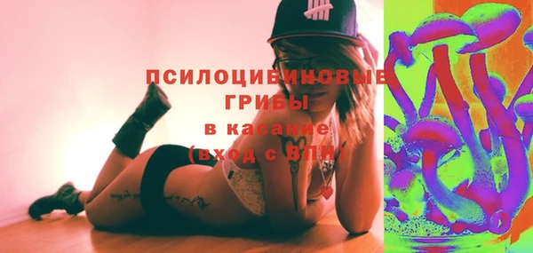кокс Алексин