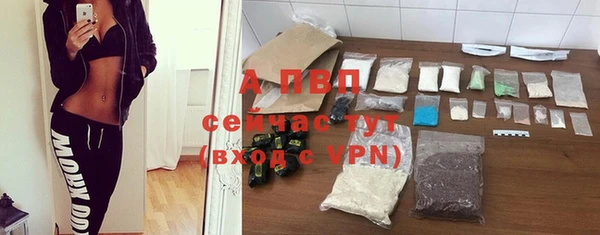 винт Алзамай