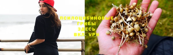 винт Алзамай