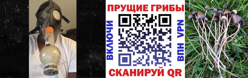 МЕГА ССЫЛКА  Ярцево  Галлюциногенные грибы Cubensis 