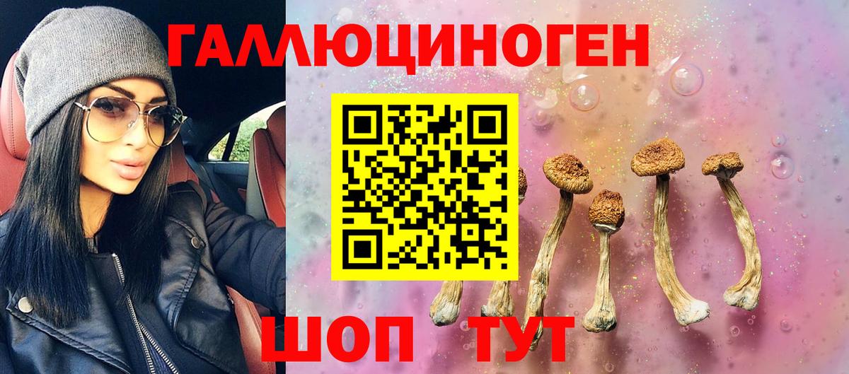 Ярцево  Псилоцибиновые грибы GOLDEN TEACHER  Галлюциногенные грибы ЛСД  Вход с VPN 