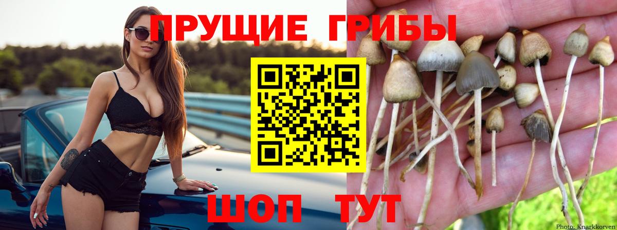Cocaine  ГАШИШ  А ПВП СОЛЬ кристаллы  ГАШИШ  Ярцево  Экстази  Вход с VPN  МАРИХУАНА  Меф кристаллы 